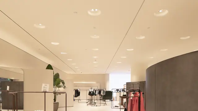 Curved ceiling band across a wide span